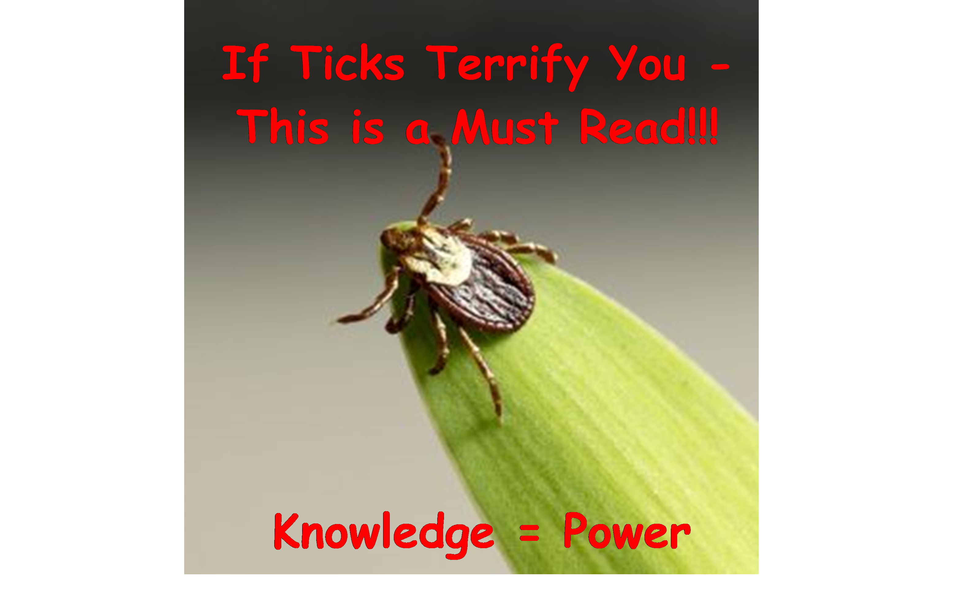 Ticks & Lyme Disease Prevention