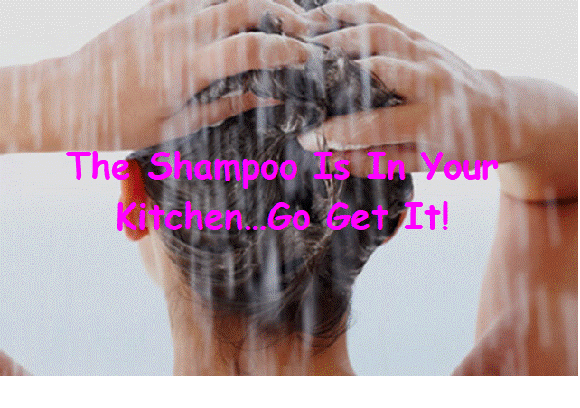 Natural Homemade Shampoo & Conditioner