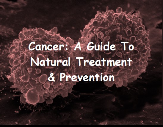 Cancer: A Guide To Natural Treatment & Prevention